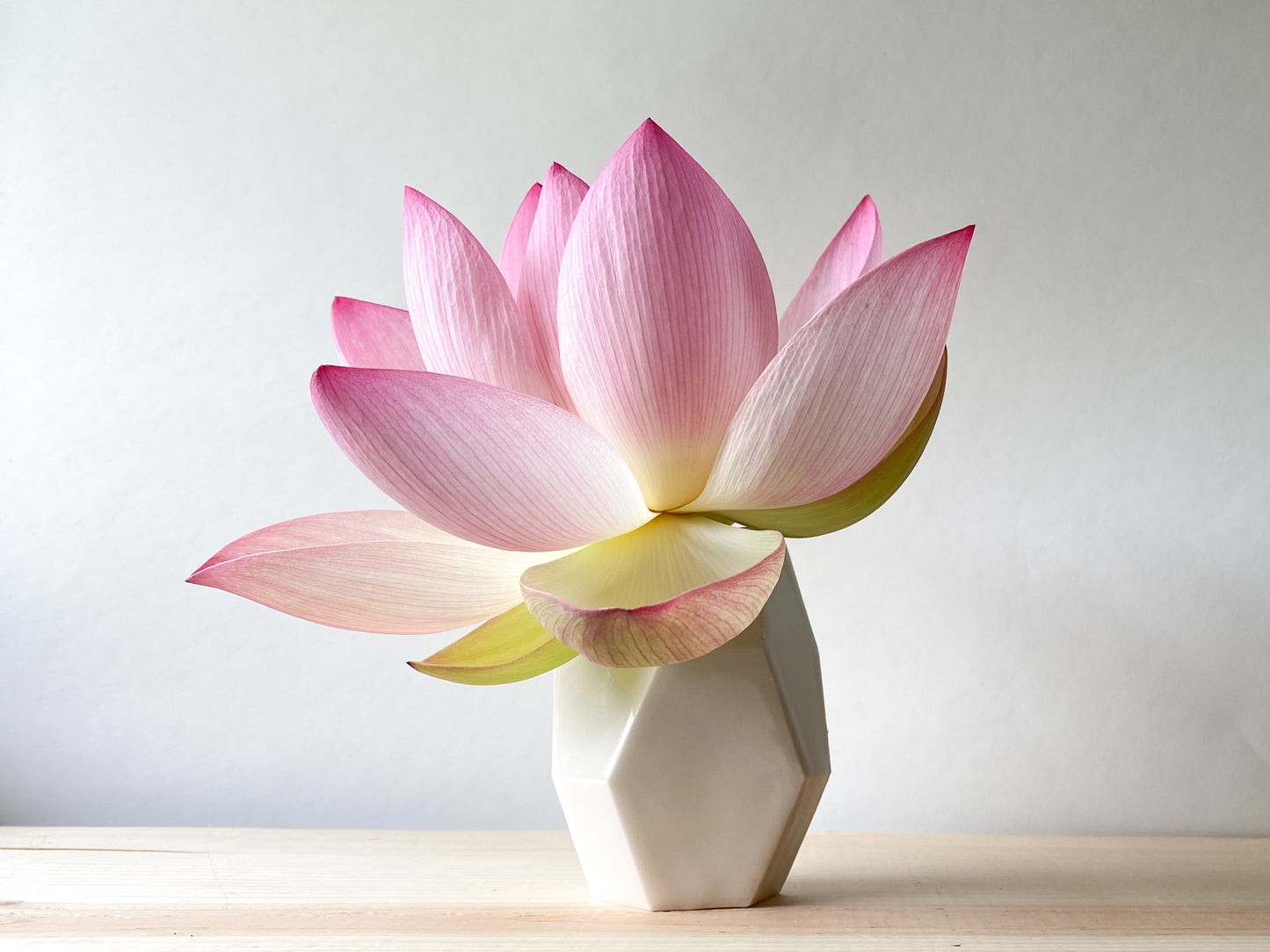 Small Geometric Vase - Glossy White