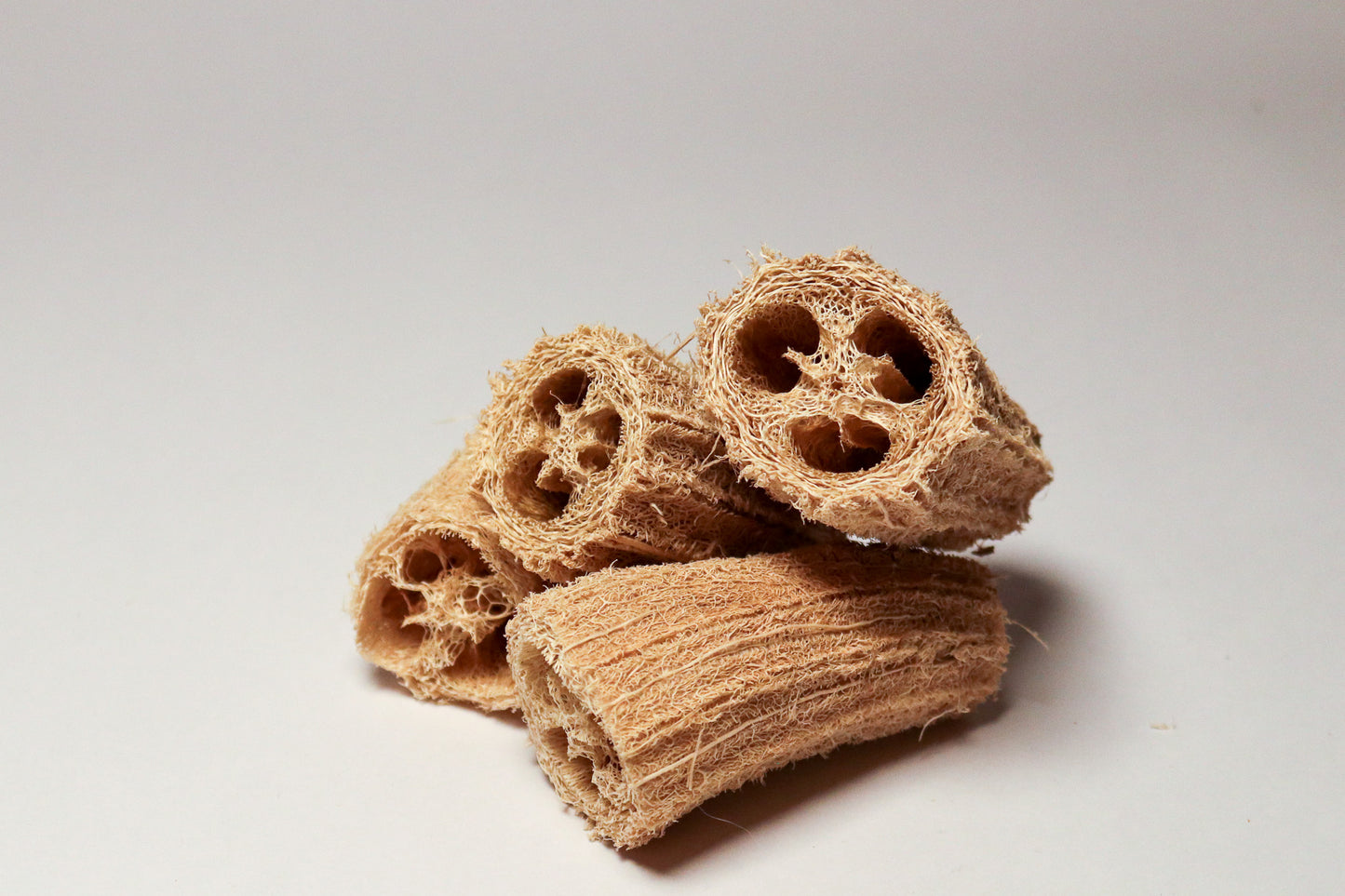 Luffa: Sponge