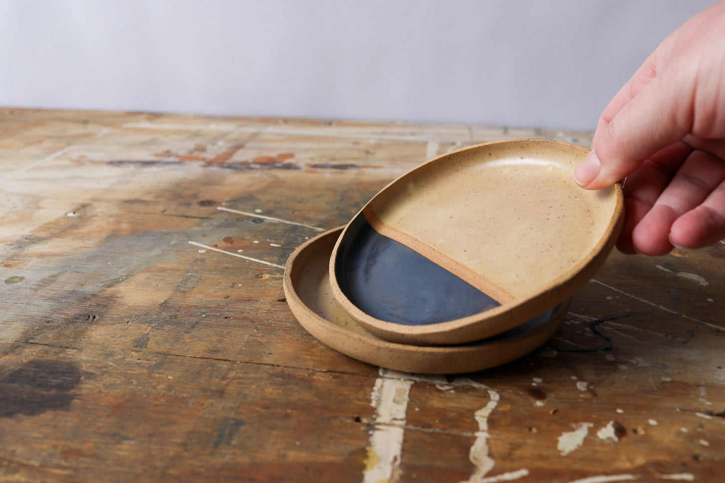 Appetizer Plate - Split Navy 2