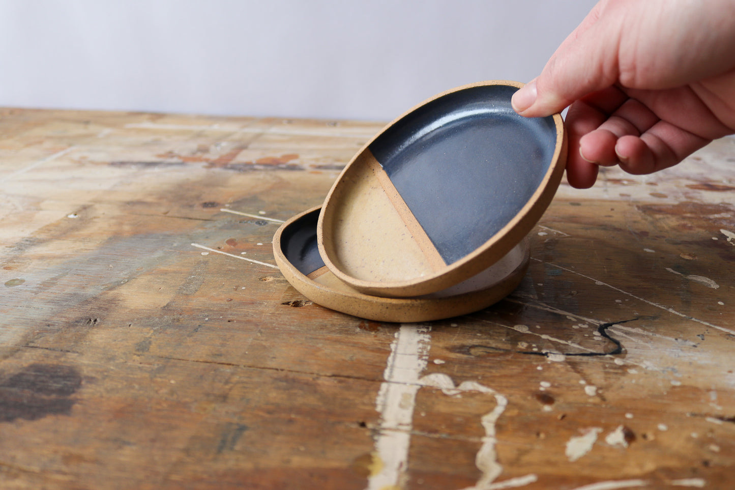 Appetizer Plate - Split Navy 2
