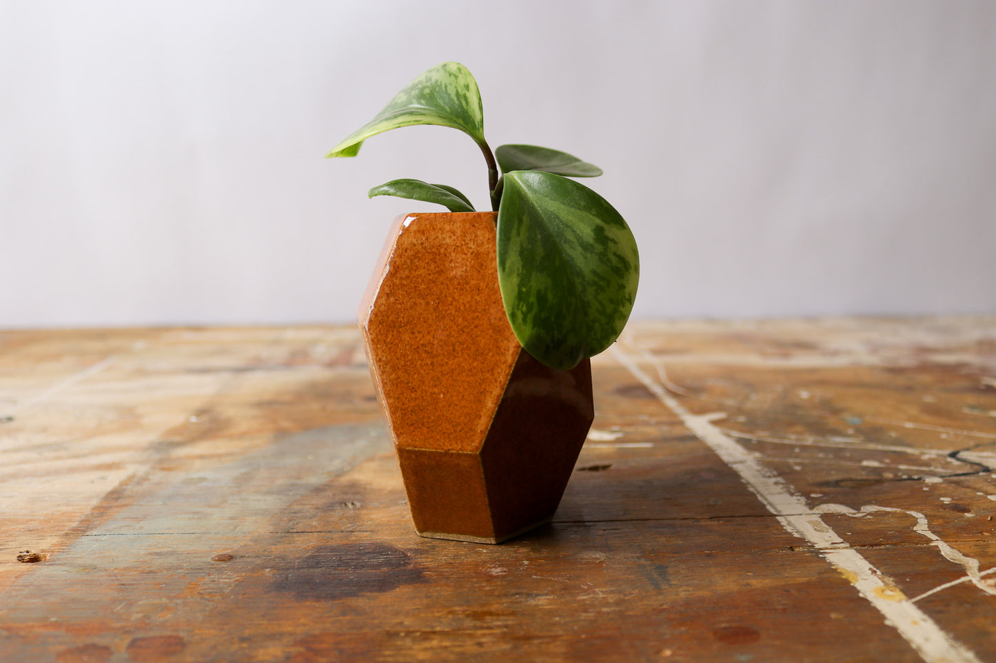 Small Geometric Vase - Shino PLANTER