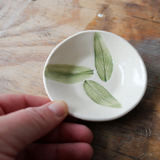 Small Oval Trinket Dish - 3 Sage imprint