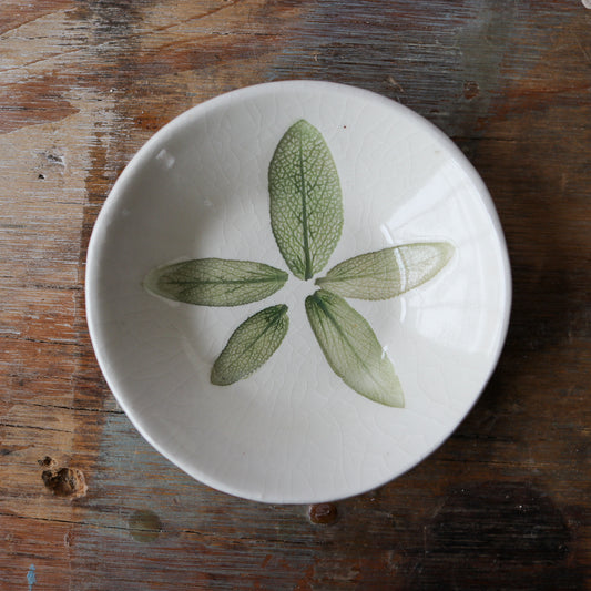 Small Oval Trinket Dish - 5 Sage imprint